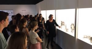 kallitehniko_proino_gia_to_visual_arts_toy_ib