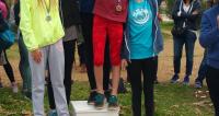 asis_anomalos_dromos_2017