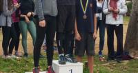 asis_anomalos_dromos_2017