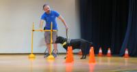 Guide dogs at School