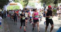 moraitis_run_2017