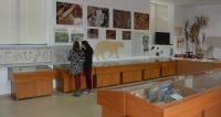 pikermi_palaiontology_museum